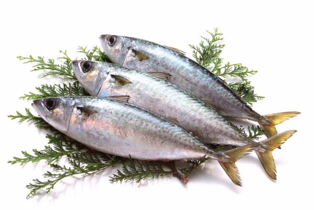 DHAの効果とは?EPAとの違い、多く含まれる食品も